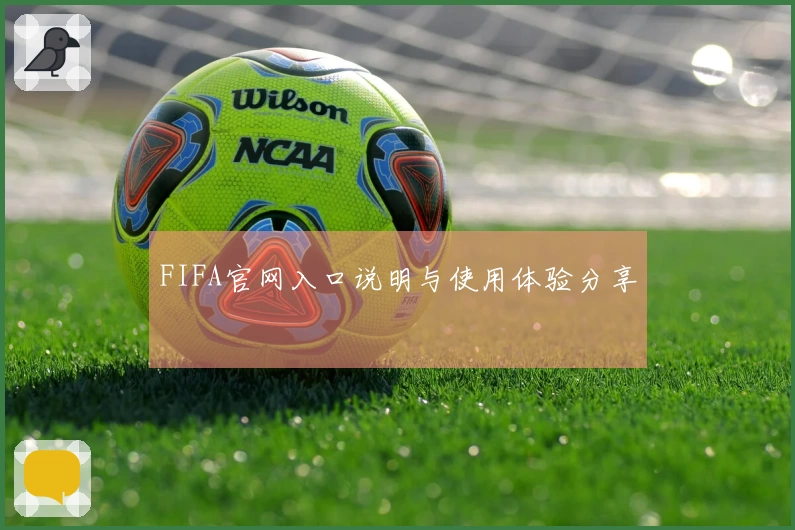 FIFA官网入口说明与使用体验分享