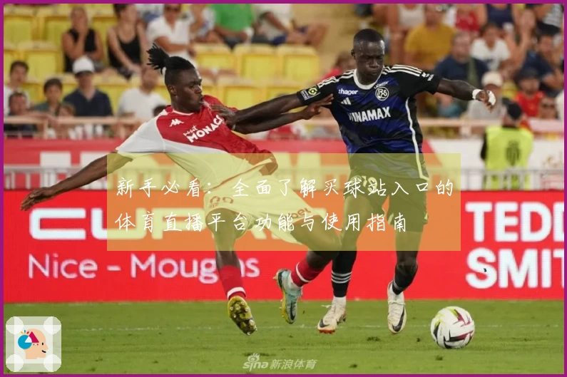 新手必看：全面了解买球站入口的体育直播平台功能与使用指南