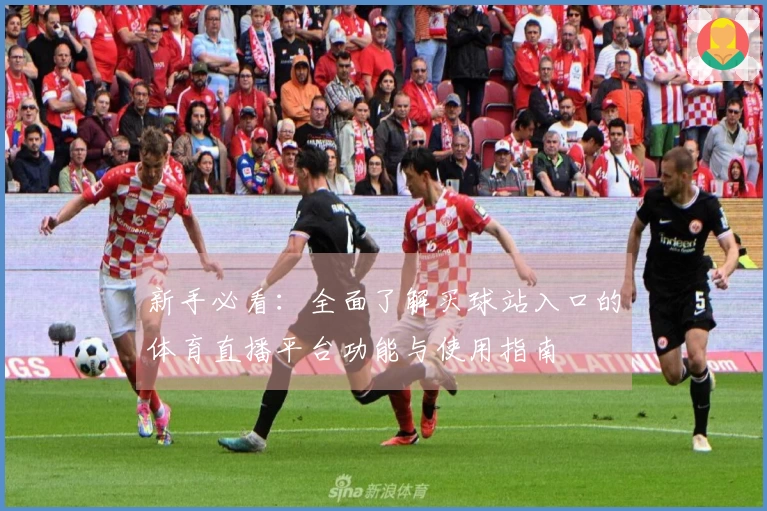 新手必看：全面了解买球站入口的体育直播平台功能与使用指南